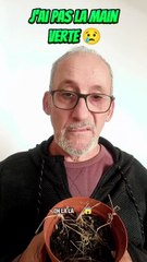 J'ai pas la main verte 😢🥴