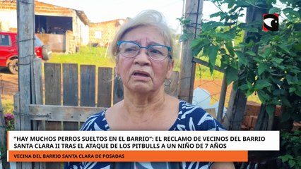 “Hay muchos perros sueltos en el barrio”_ el reclamo de vecinos del barrio Santa Clara II tras el ataque de los pitbulls a un niño de 7 años (1)