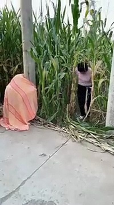 Best_Funny_New_Clip_BBK_2021___New_Comedy_Video_try_not_to_laugh_with_BBK_#short(360p)