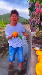 Chinese_amazing_mango_fruit_farming_#shorts_#short_#youtubeshorts_#shortvideo_#tiktok_#shortfeed(360p)
