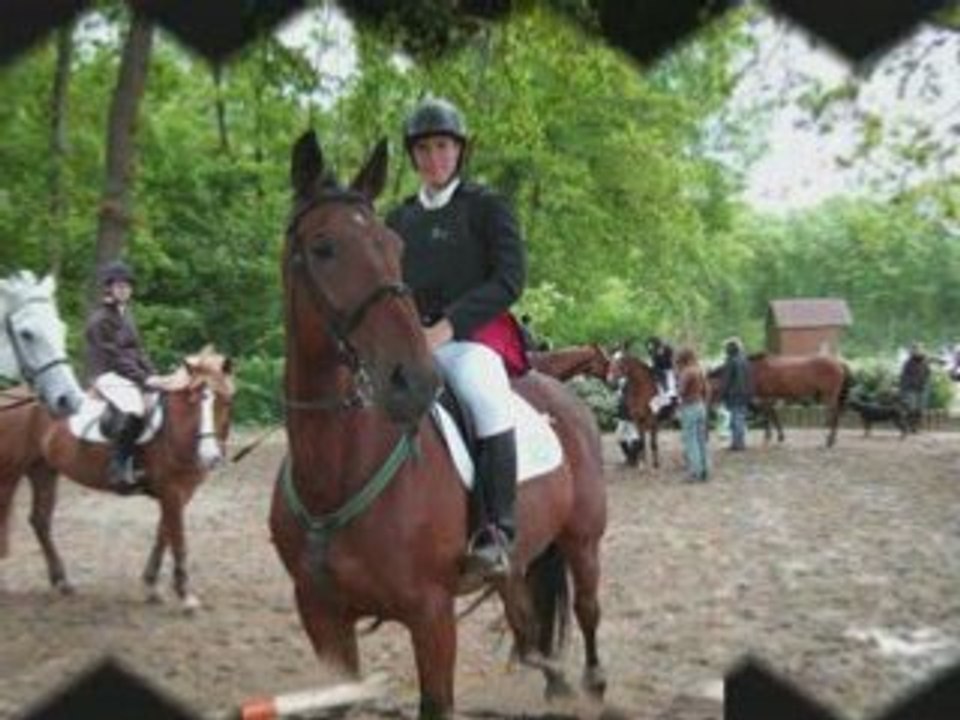 Dauphin du meslier hhh