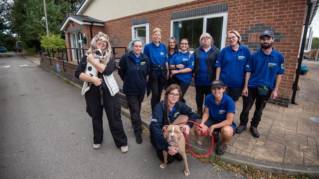 A day in the life of the Blackpool RSPCA shelter