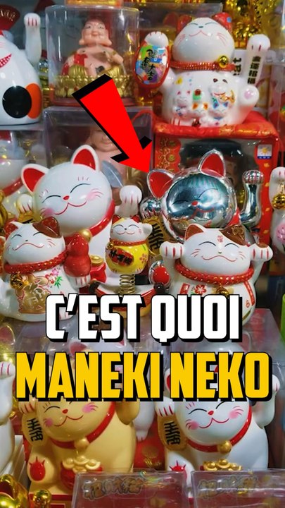 LA SIGNIFICATION DES MANEKI NEKO ?