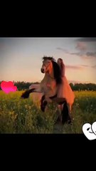 Sad song video Dedication most popular video in Hindi Urdu