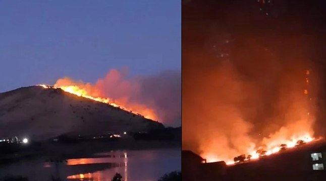 Elazığ’da çıkan örtü yangını söndürüldü