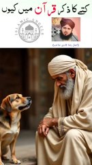 Quran me kuttay ka zikar kue