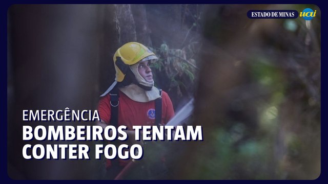 Incêndio de grandes proporções mobiliza bombeiros no bairro Ouro Preto, em BH