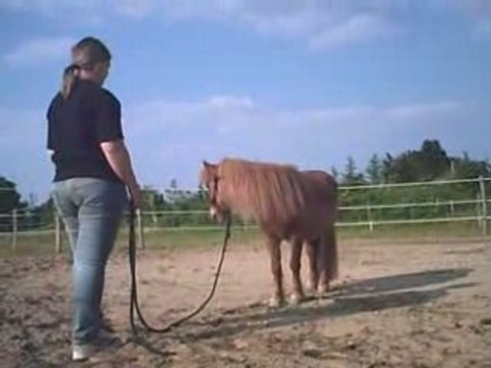 Petits exercices "d'étho"