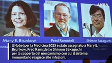 Il Nobel per la medicina agli scienziati che scoprirono "i guardiani" del sistema immunitario