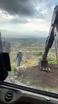 Ce conducteur de pelleteuse fait une blague à son collègue