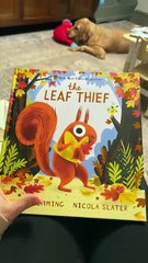 The Leaf Thief – A fun fall book for kids! Teaches friendship, change & autumn’s magic. 🍂❤️✨