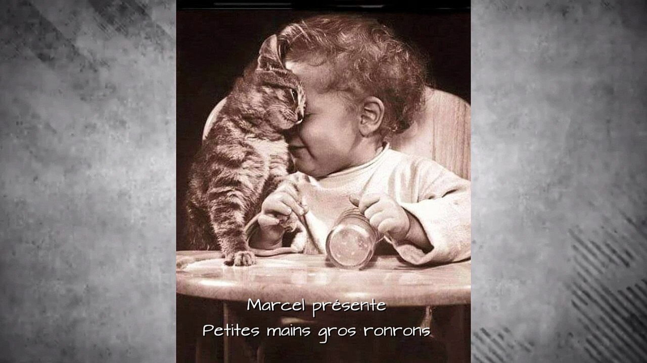 Petites mains gros ronrons