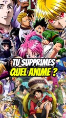 Tu supprimes quel animé ? One piece ou Hunter X Hunter !