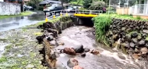 15 comercios y docenas de viviendas afectados por las lluvias en Boquete