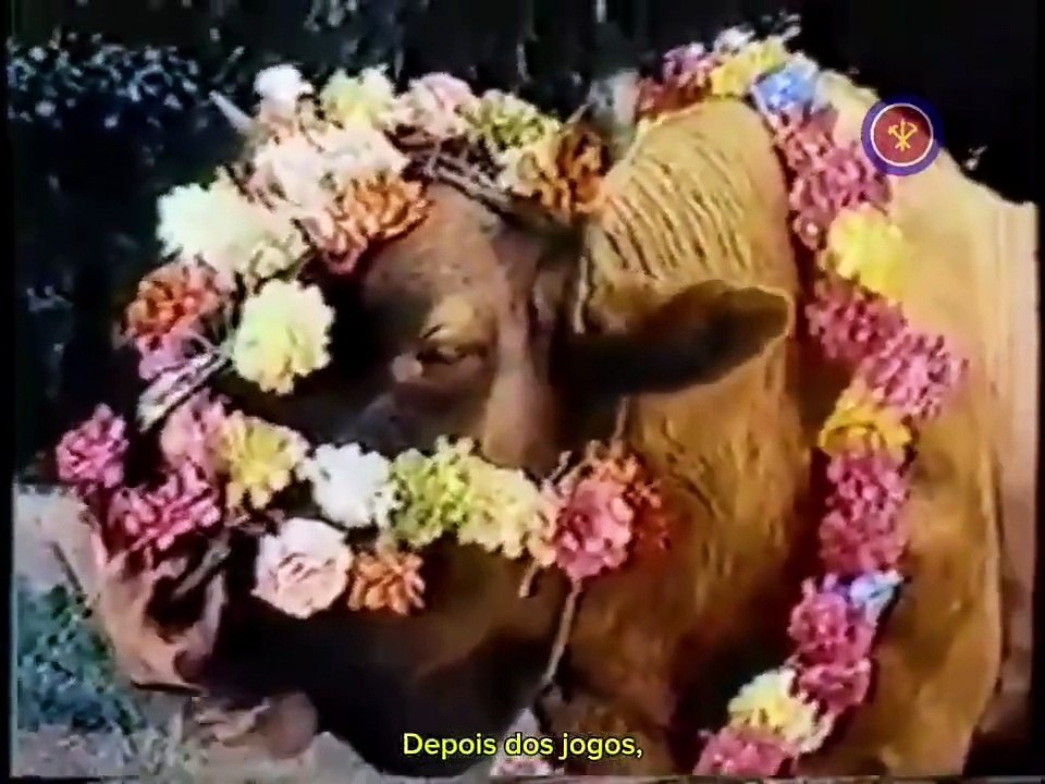 Turismo na Coreia do Norte nos anos 80