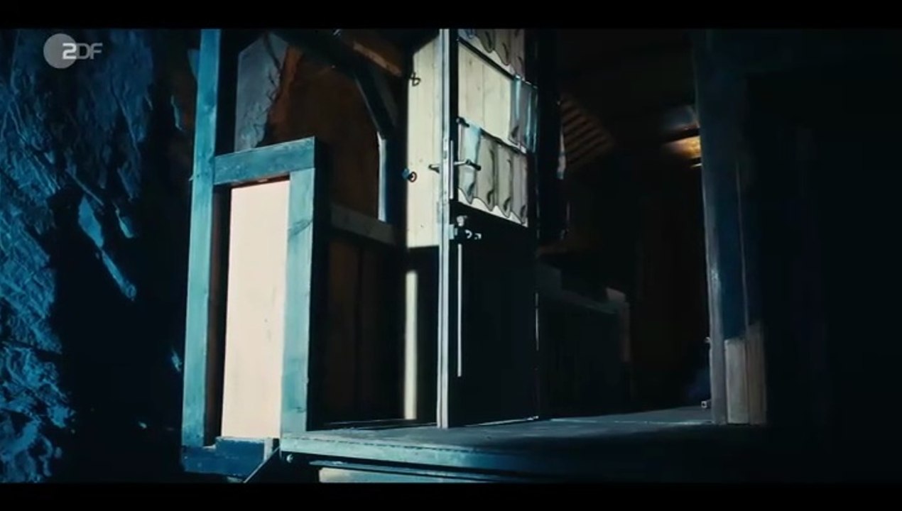 Ein Schwarzwaldkrimi -08- Vogelfrei (2)