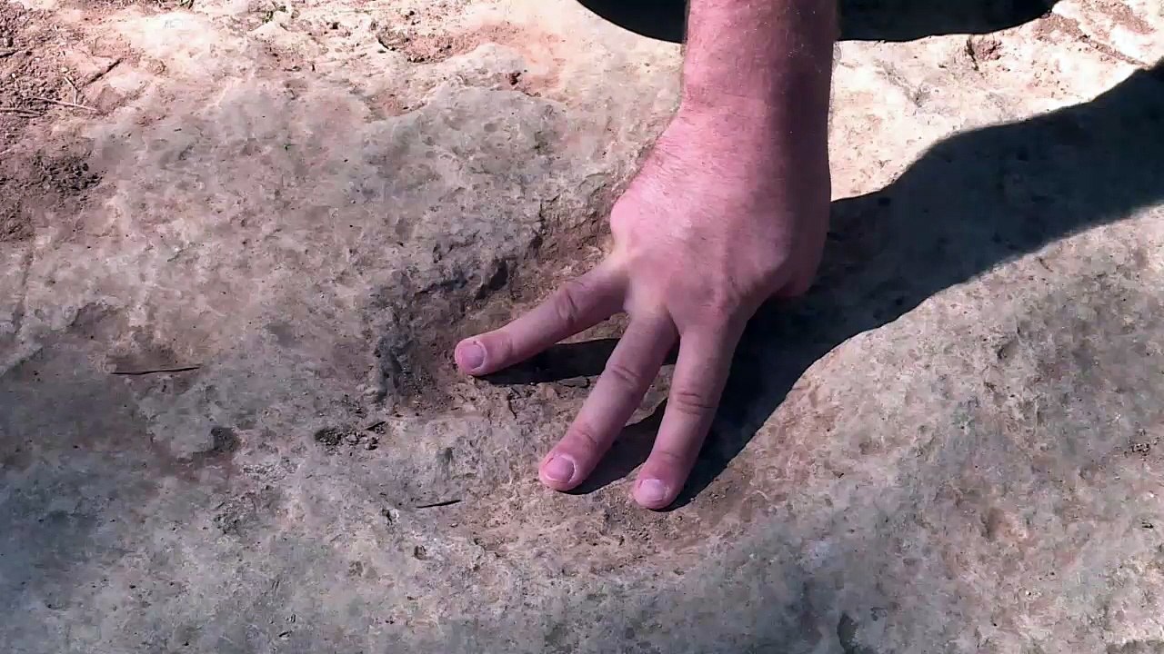 Des empreintes de dinosaures découvertes à GREASQUE 29SEPT2025 ICI PROVENCE