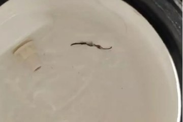 मिनरल वॉटर के नाम पर सेहत से खिलवाड़