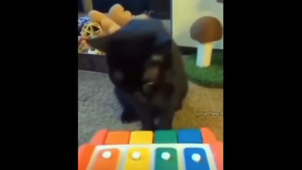 Extremely Funny Random Memes 8 (1080p_30fps_H264-128kbit_AAC)