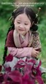 Little Girl Big Fortune Full Movie Chinese Drama