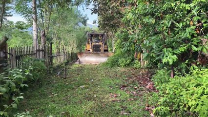 Sustainable Plantation Road Improvement with D6R XL Bulldozer