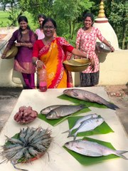মজার খেলা! 🐟 বোতল ফ্লিপ করো আনলিমিটেড মাছ উপহার নাও 🎁 | New Songs Media House