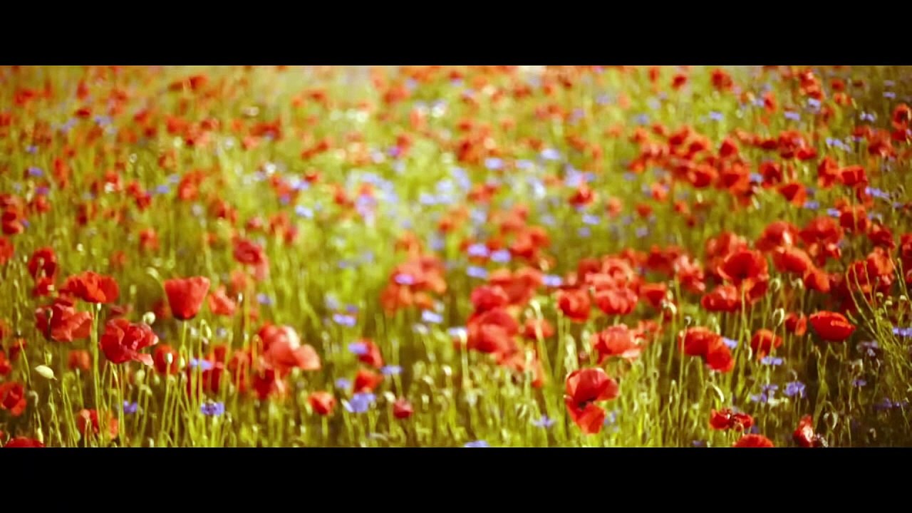 Karla | movie | 2025 | Official Trailer