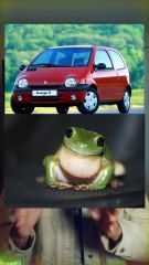 Anthropomorphisme: Pourquoi on aime donner des émotions aux objets ?