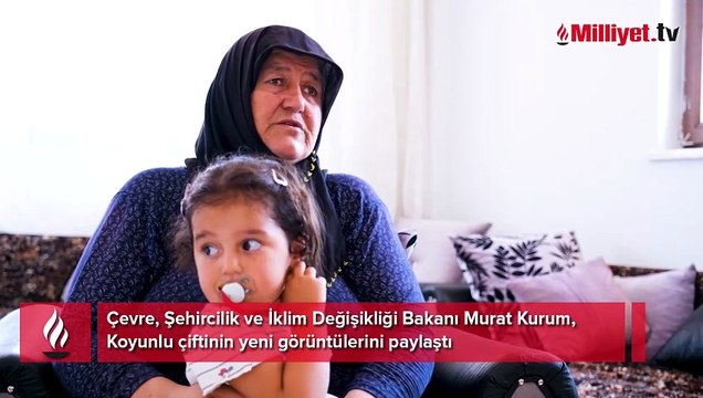 Bakan Kurum, Koyunlu çiftinin yeni görüntülerini paylaştı: Geldim ki devlet bana villa yapmış