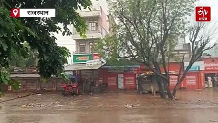 भरतपुर-धौलपुर में बेमौसम बरसात ने बढ़ाई किसानों की चिंता, संकट में सरसों की बुवाई