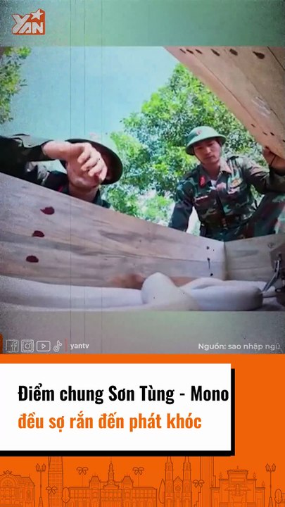 Tìm ra điểm chung của 2 anh em nhà Sơn Tùng và Mono