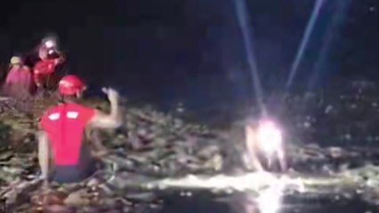 전남 신안 갯벌서 어패류 잡다 고립된 일가족 7명 구조 / YTN