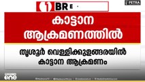 തൃശൂർ വെള്ളിക്കുളങ്ങരയിൽ കാട്ടാനയാക്രമണത്തിൽ ആദിവാസി യുവാവിന് പരിക്ക്