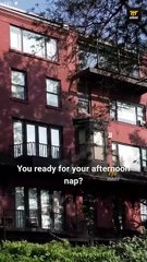 Bring Mommy Back, Alpha Daddy [NEW] - FULL MOVIE 2025