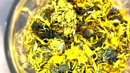 Geleneksel ve tamamlayıcı tıbbın kalbi İstanbul’da attı