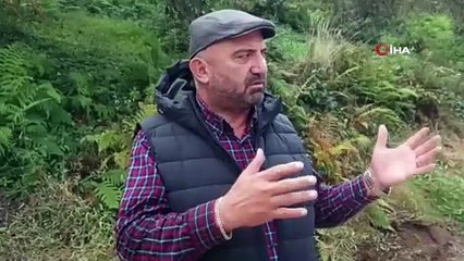 Karadeniz’de kokarca istilası: Fındıktan sonra şimdi de ev ve araçları bastılar