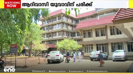 തൃശൂർ വെള്ളിക്കുളങ്ങരയിൽ കാട്ടാനയാക്രമണത്തിൽ ആദിവാസി യുവാവിന് പരിക്ക്