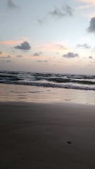 Surathkal Beach in Mangaluru #travel #trendingvideo #tourist