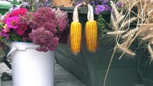 Erntedank & Abschied – Ein Tag voller Segen im Marchfeld