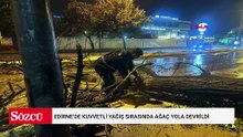 Edirne’de kuvvetli yağış sırasında ağaç yola devrildi