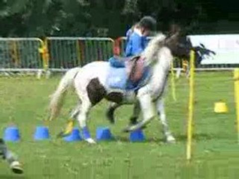 Marches, Peillard Espoir, Bruille