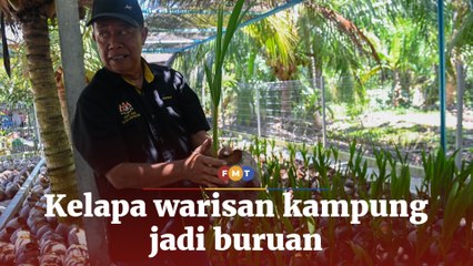 SejaTi Madani Kelapa warisan kampung kini jadi buruan