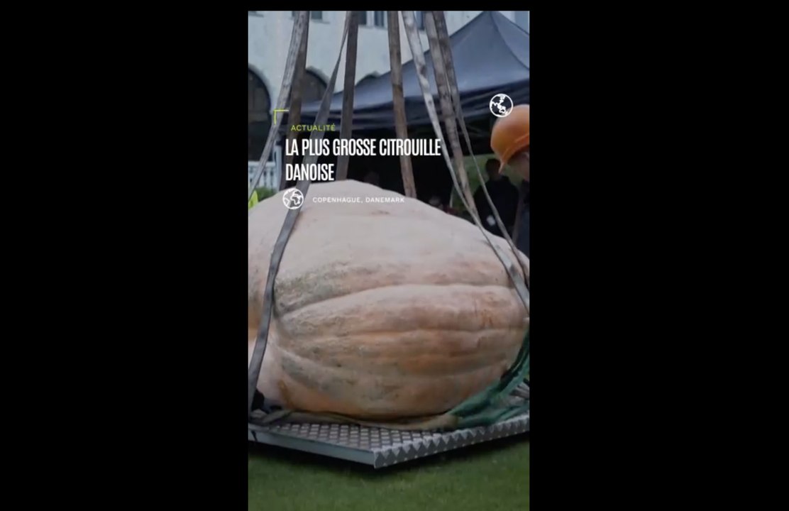 La plus grosse citrouille danoise couronnée à Copenhague