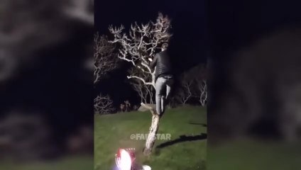 Best Fails of The Week_ Funniest Fails Compilation_ Funny Video # funny video