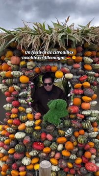 Un festival de citrouilles insolite en Allemagne