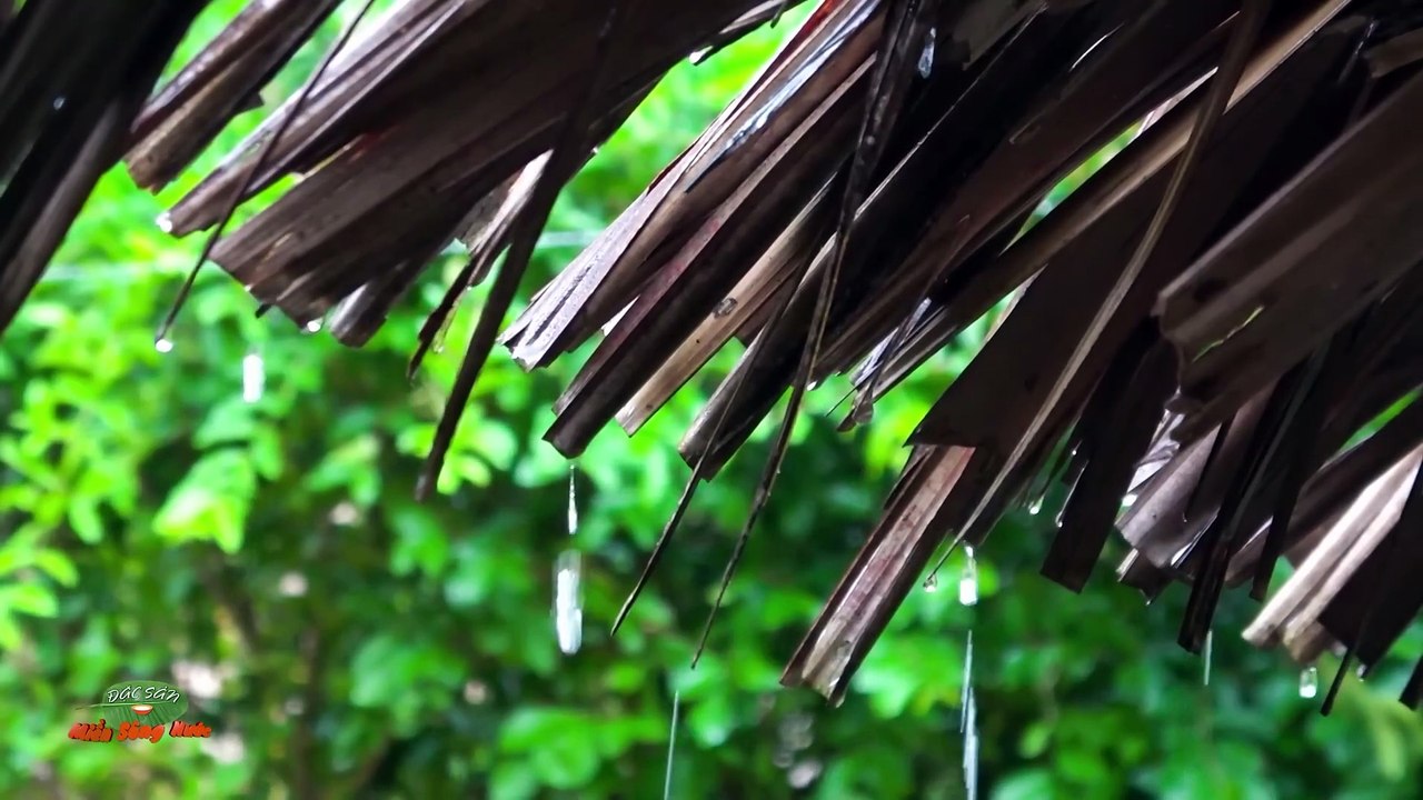 cây xanh thì lá cũng xanh