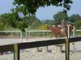 quidam saut d'obstacle