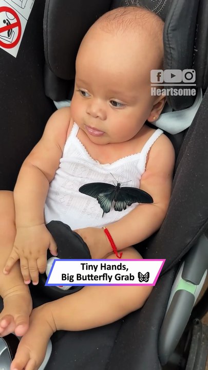 Baby Grabs a Butterfly in the Cutest Way Ever 🦋😍|| Heartsome 💖