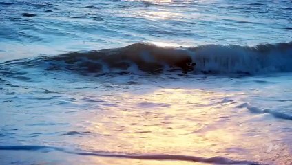 Home and Away 8595 7th October 2025