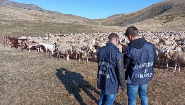 Frode su fondi agricoltura: 48 imprenditori nel mirino, sequestro da oltre 17 milioni (07.10.25)